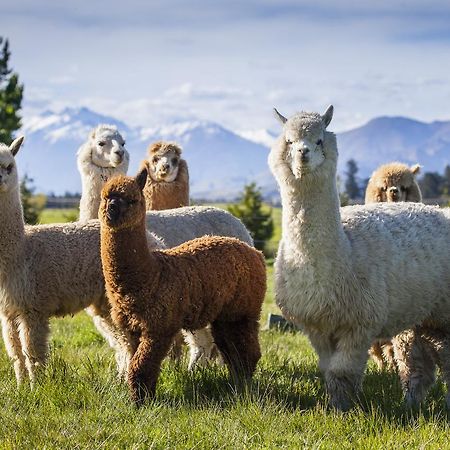 Criffel Station Farmstays Luggate Εξωτερικό φωτογραφία